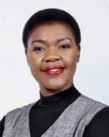 Press Council of South Africa